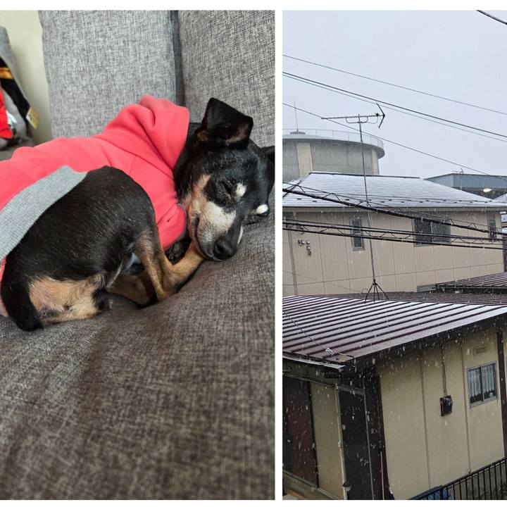 D92fad6c 8842 4ac6 9697 a7306be14140 1773092574116