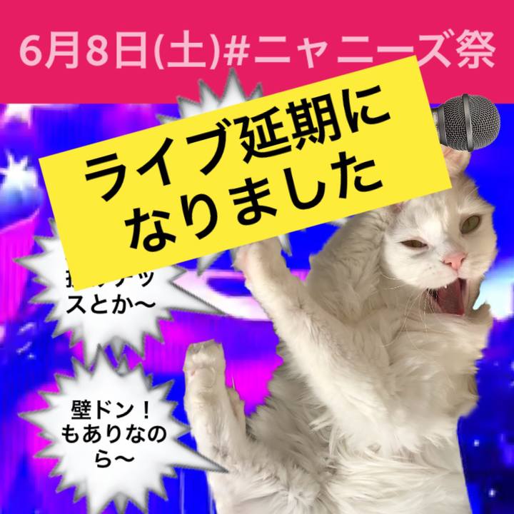 D92fb494 a69c 4671 909a 21a2ae3cd2bf 1559920202878