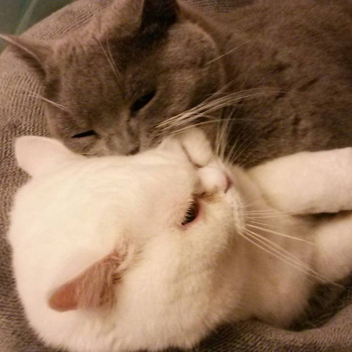 D92fd6ab 293d 49bb aa00 210921ea62ad 1551351478296