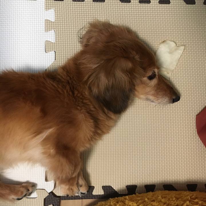 D92fdbba 4fc6 4fdc a6cb ffeb6baa5e74 1625229737719