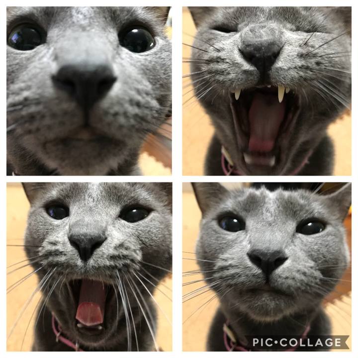 D92ff3ba ee99 4248 8589 55eb8803a5e9 1512812227347