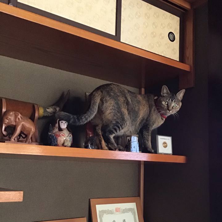 D92ff95f e28c 4635 87b3 b2b0b59d6e77 1613457219010