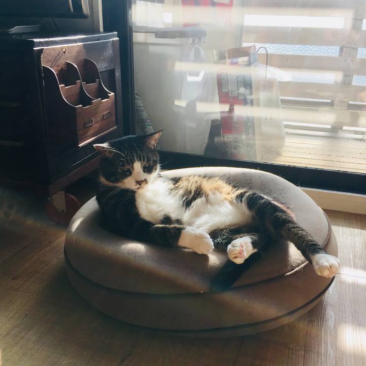 D93015de 328d 47ce b82a 961c9d99b296 1550793968489