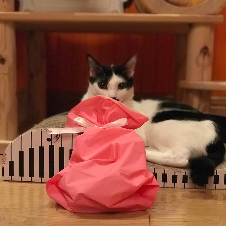 D9302e33 8d2e 45ee a429 f30ac3279a05 1518615581597