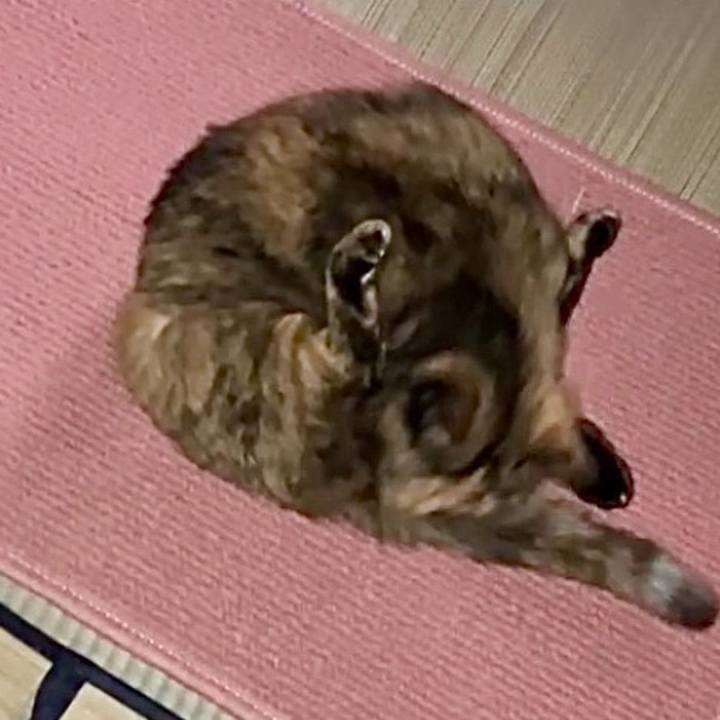 D93050fe c8e2 48bd 881a 83f6592a9206 1738096302074