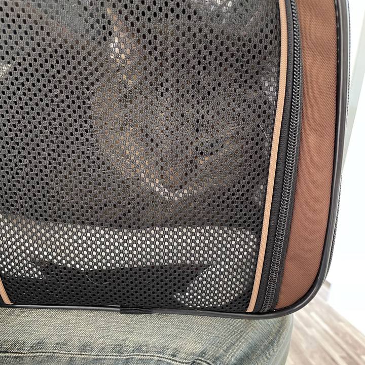 D930f046 f100 4b57 8479 f5948b8f34a7 1617413619328