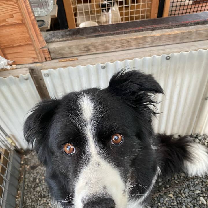 D930f991 662b 4cbe 8541 77788d4c6c96 1624668669470