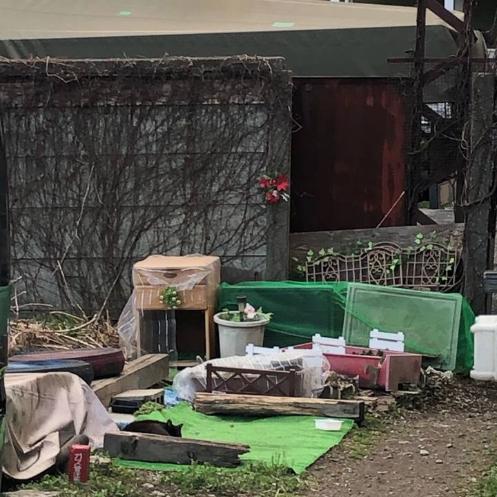 D9310359 6cd3 4794 94e4 32f88c193f02 1554080320436