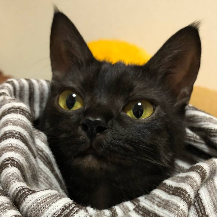 D93108ad 05e8 431f baa1 b6494583cd29 1630095950898