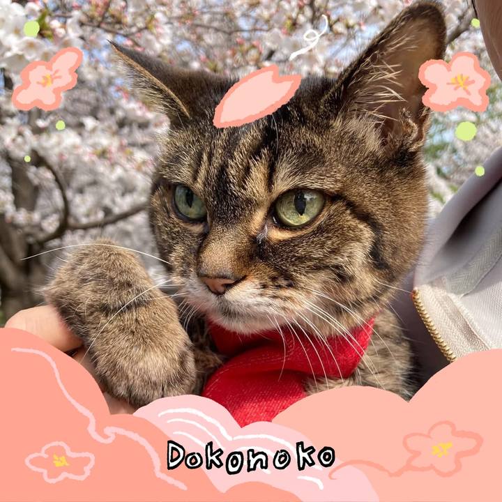 D9313660 2ee7 45a5 ad55 46f8008dcf81 1775400290339