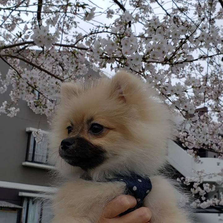 D9315e53 21c3 4f5a 8732 a6eb97470fef 1616765516667