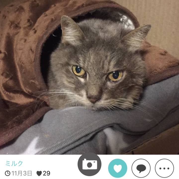 D9316da0 bfb1 41cb b22d a29853f2e6ec 1511691141443