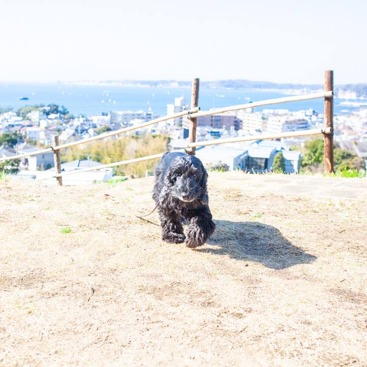 D9319e2c c153 4690 a49e 1bb4a8d6be6f 1582556644367