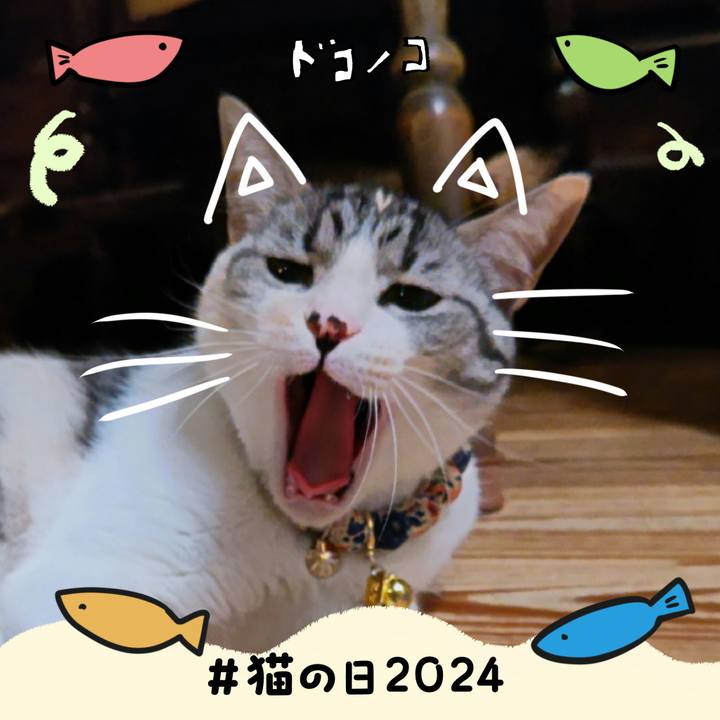 D931a065 4624 4575 acb0 d02dabb8714a 1708576934578