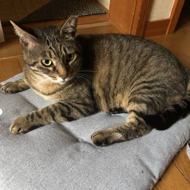 D931a3fd 057f 4d87 b2fd 54842a3399bd 1594029669320