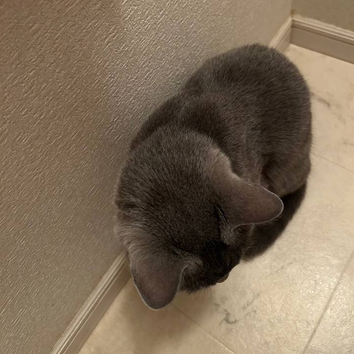 D931c2e6 68af 4668 91c8 b25411d2c6e8 1682385219419