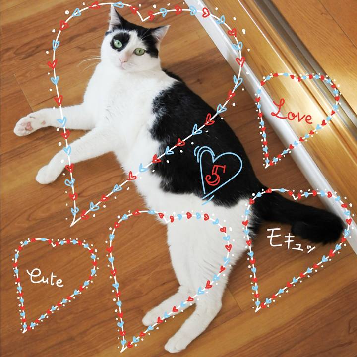 D931e91e a0eb 420f a4bc 76991ea723e6 1629366936765