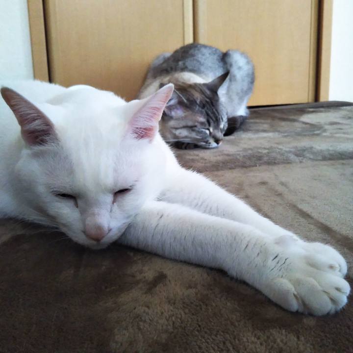 D9320bac 7596 4e39 9ac5 ee97032022d8 1557125403818