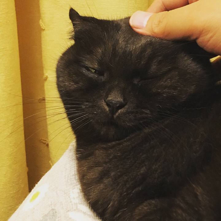 D9320dce a228 48be aac9 58c8bf6b7690 1510853491144