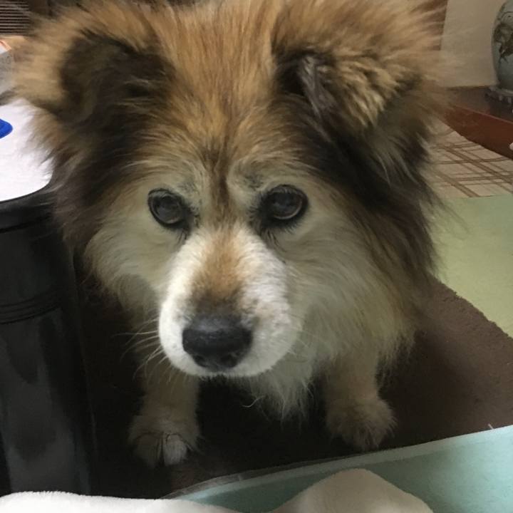 D932434b 1a51 45f2 a08b 378e25f8379a 1592742144901