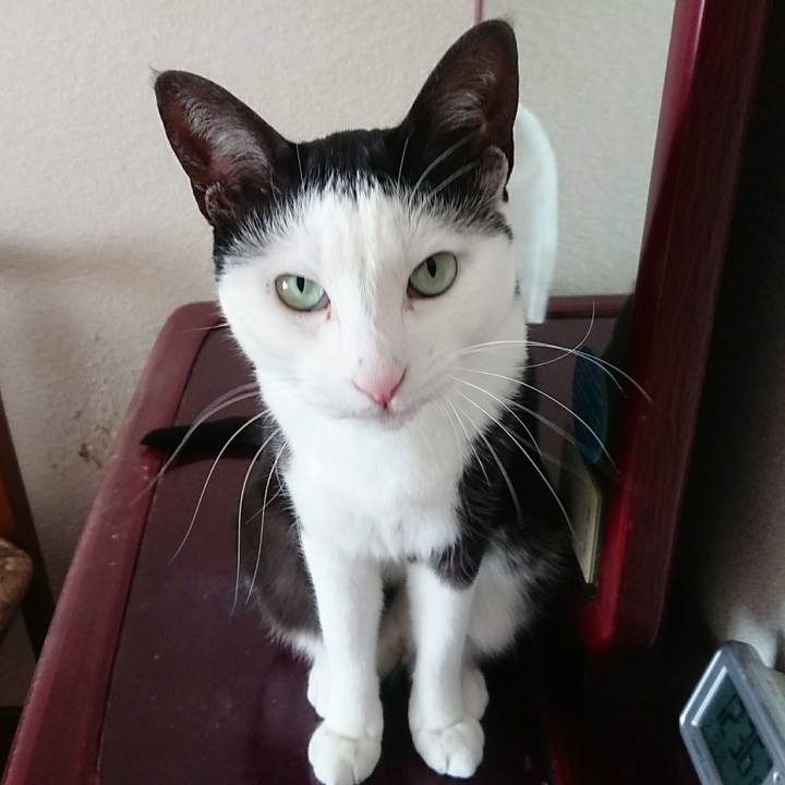 D93268a5 1036 471f b6f1 74f0012edb86 1518999045276