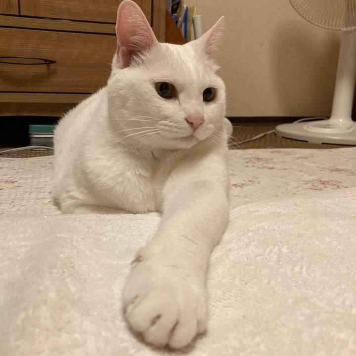 D932835f 2484 4ba3 b8fa 88cade14e669 1651076467025