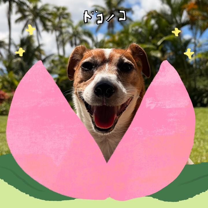 D932989e 9a0f 4f04 b8d9 986f6d44ffa0 1772257185552