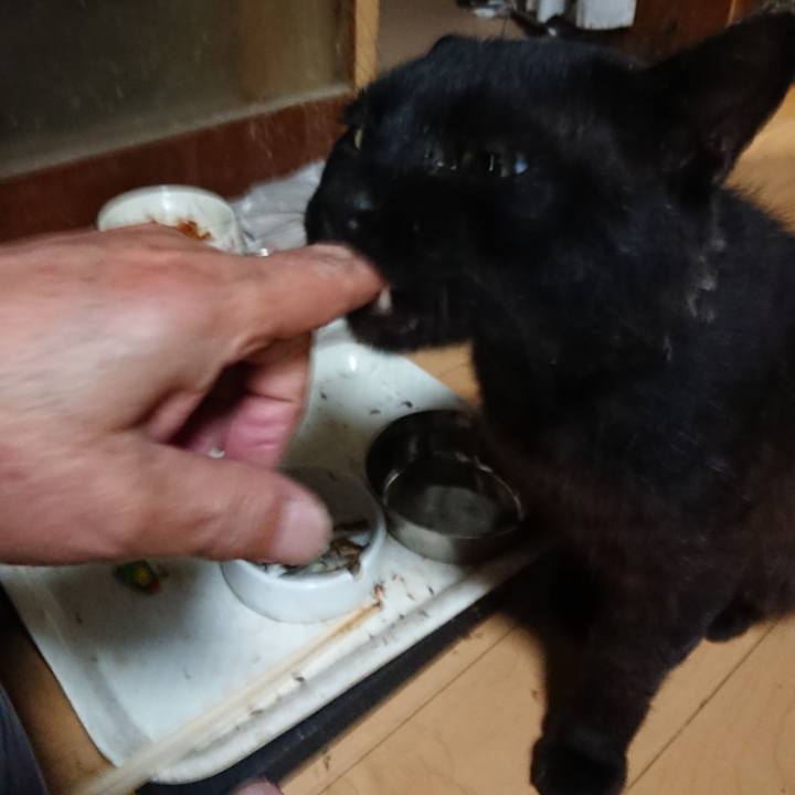 D932b28e 95ce 42c0 b949 239f5e51b360 1625139793543