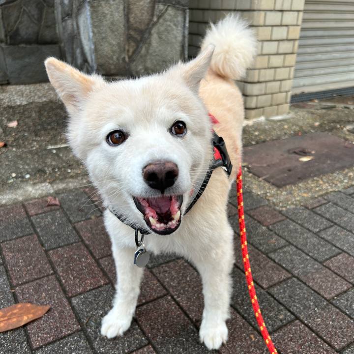 D932eb79 1f4a 416d 8b8c 27ce7452a239 1728443275522