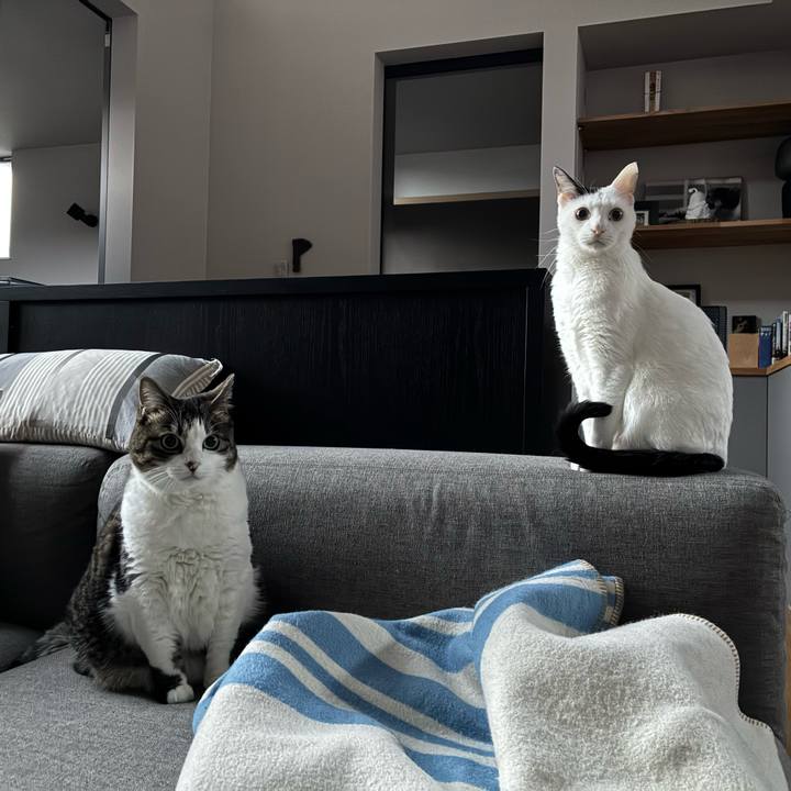 D93313af 40f8 4f4f 81f0 93c5ccf2331f 1765761789435