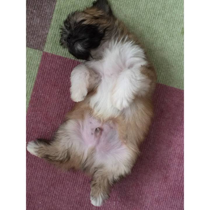 D9336815 161f 4bd0 9f97 1963ce77dc1e 1535453844825