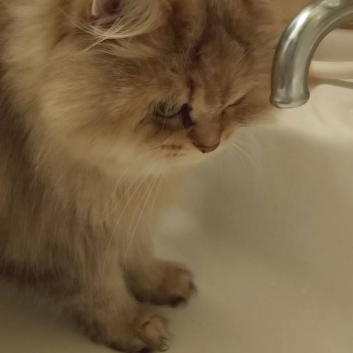 D9336ceb eff5 4380 bba3 dcfd72bf9f31 1633424123026