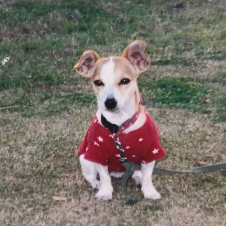 D9337b3b c5f3 46e9 9413 992aaad28771 1571240522836