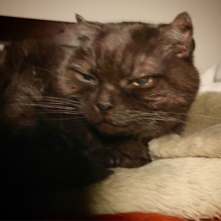 D93381db 36b6 42cc 820f e9ed1c57efcb 1635338243346