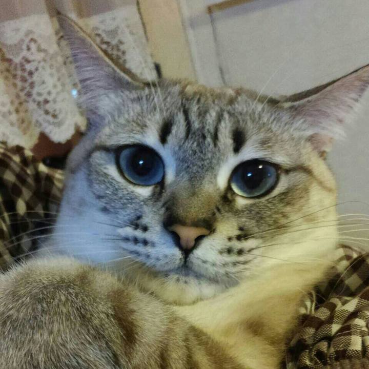 D933954c a61d 46fc b693 3c829a8dd1aa 1516278077649