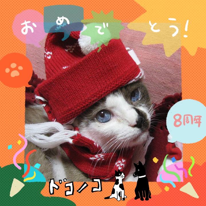 D933a55b 4f40 4484 91e2 5fed244721ed 1717638965510