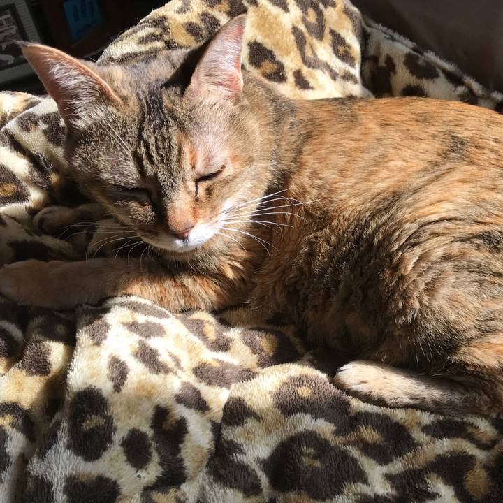 D933a81a 2097 4be5 a742 967f38e8030c 1521266885690