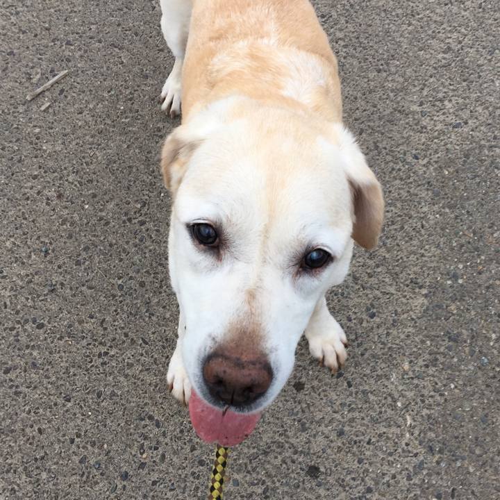 D933aff6 d3ec 4e27 96bb 3a4adc112a10 1535305917739