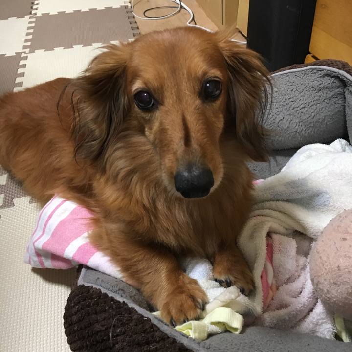 D933b2af 5fc6 4a44 ac43 77de8538f283 1526564618732