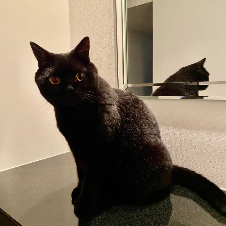 D933c1f8 ab62 40ef b735 f3aa6520e344 1602159449847