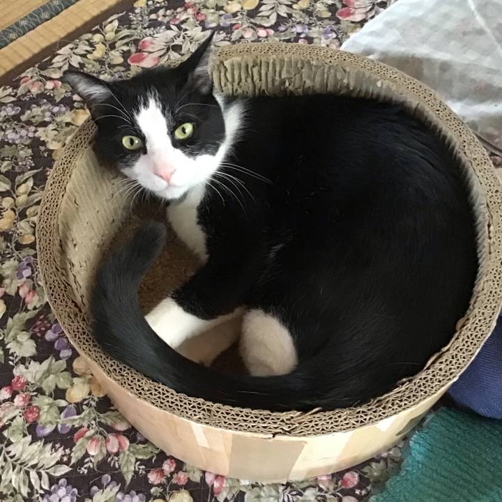 D93423f8 ab0a 419d 9c48 3661179c5d8a 1746323988716