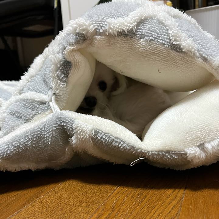 D9343525 906f 4957 b5a2 8f8b66009b78 1744757556681