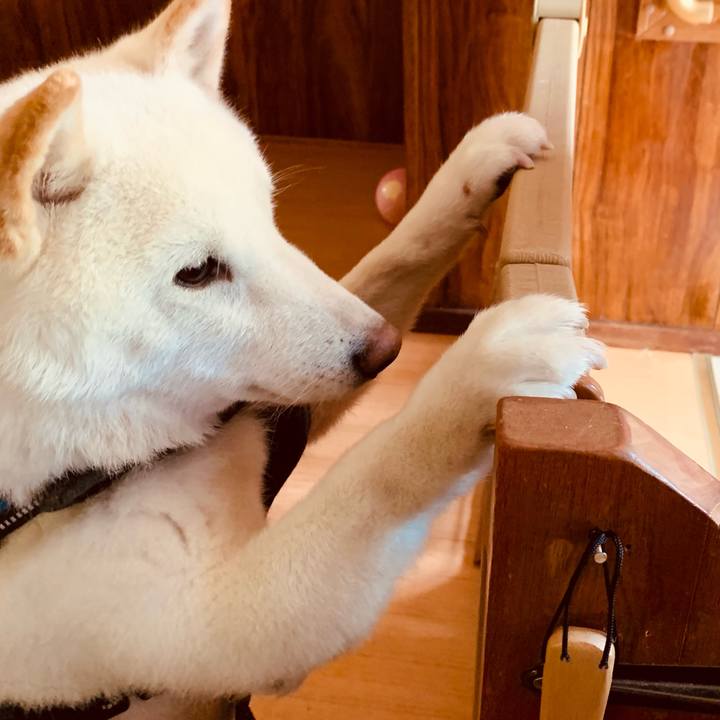 D9343666 5e3c 4bec bbdd 2d6d7930950b 1624878532882