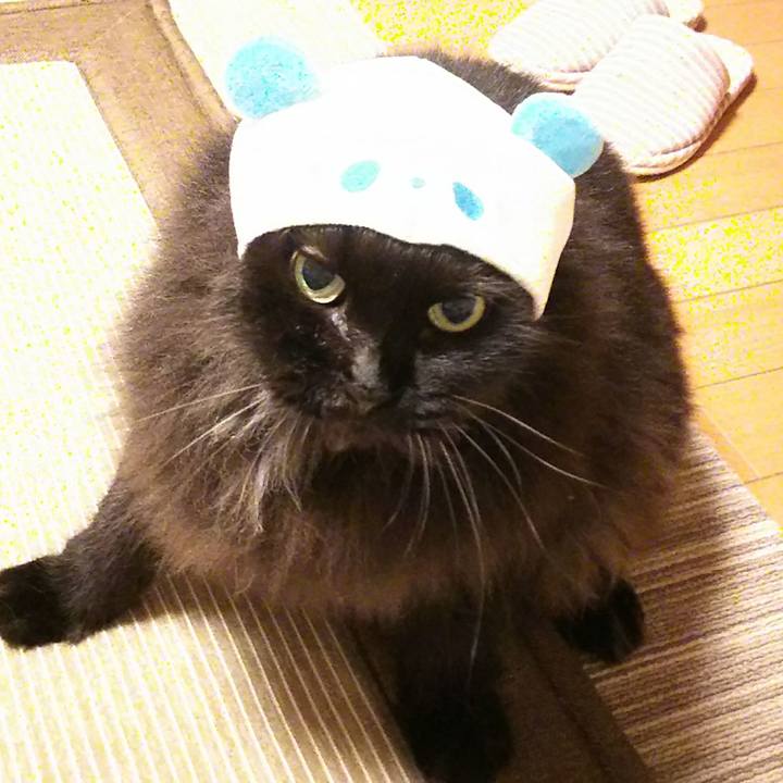 D9343a7f 70da 4ae8 80b3 eab4848e7463 1535793427573