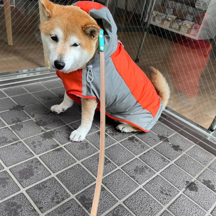 D9344243 cd30 444d 83d6 1df277ce749c 1716164205727