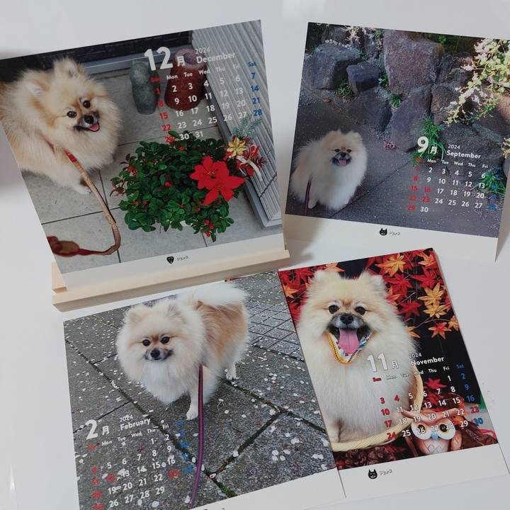 D93469cf efa2 49eb b7ca 955e8f546fbc 1700631005777