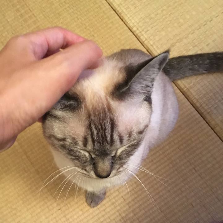 D9346dbb ee9e 49f6 a150 792894307a68 1564201717469