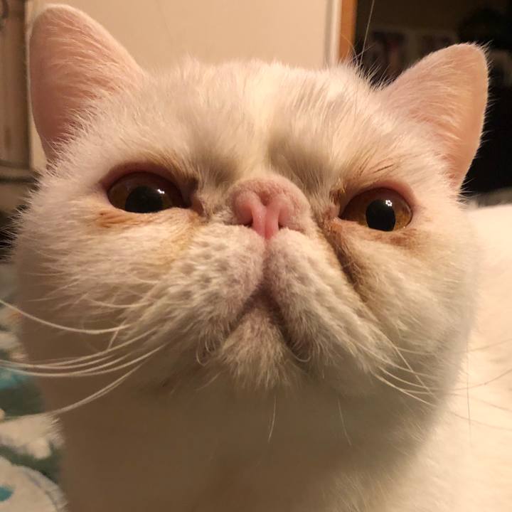 D9347236 9282 47b3 ba22 ed6e8b64e9b6 1647433866220