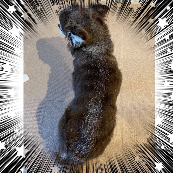 D9347c40 3bc5 42a2 bcfb e8c10e7efa25 1667777735069