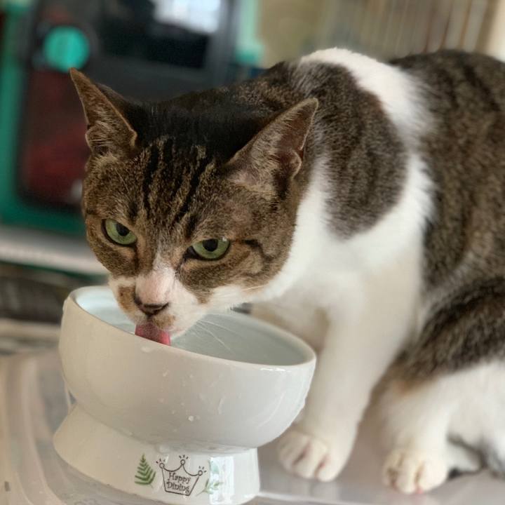 D934df62 ee97 487c 9158 8d267eb5a913 1559783085825